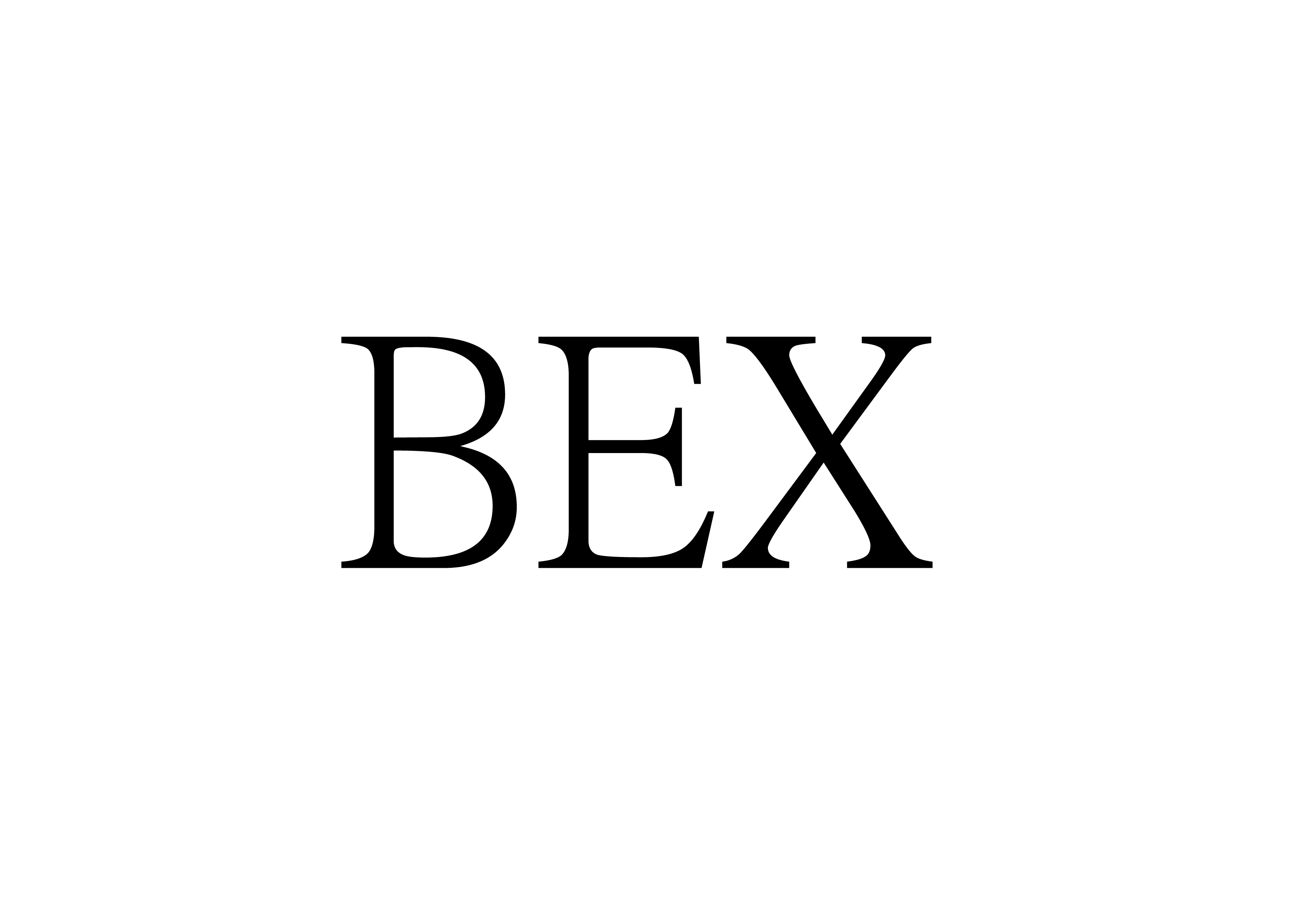 BASSO INDUSTRY CORP.-Logo