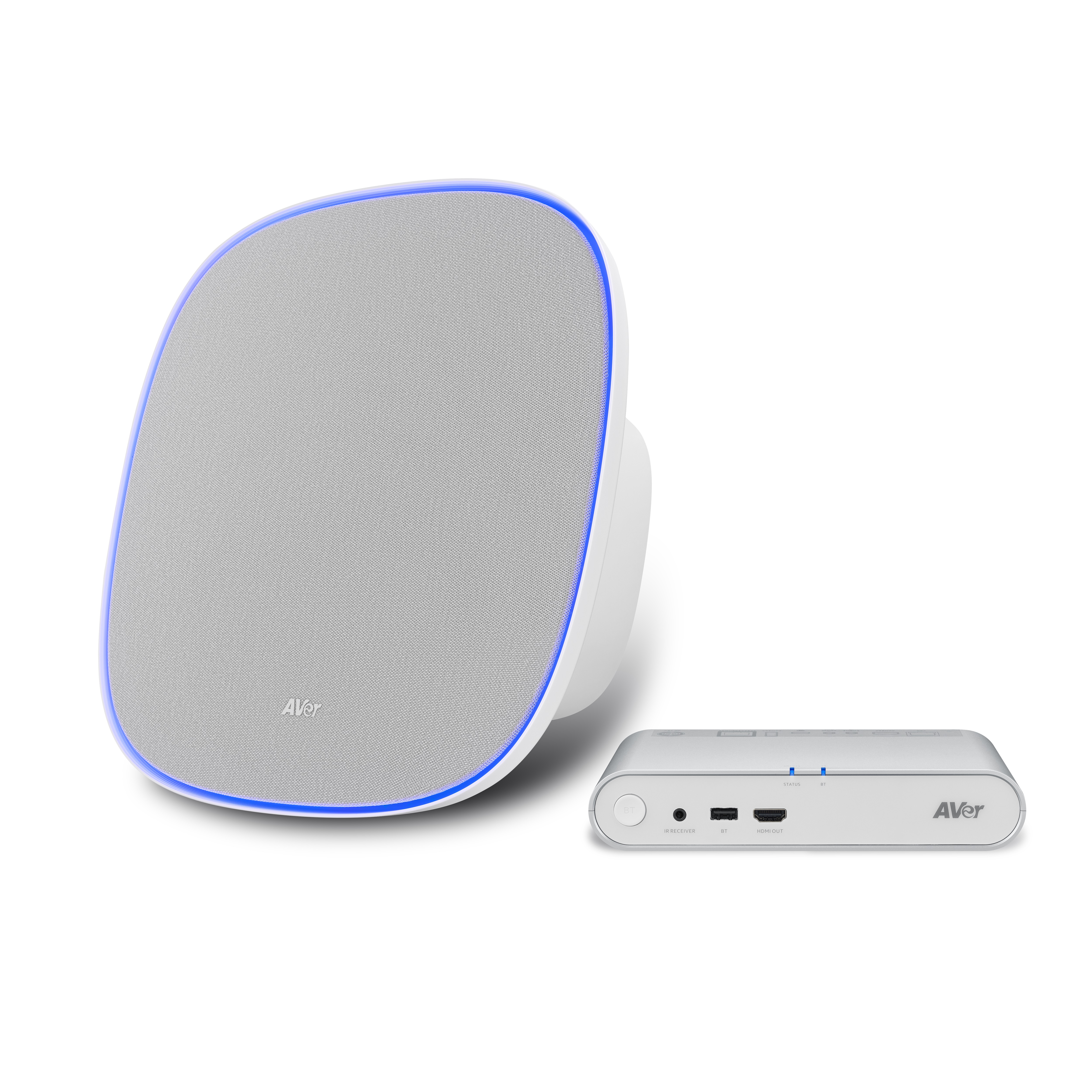 Ceiling Speakerphone System