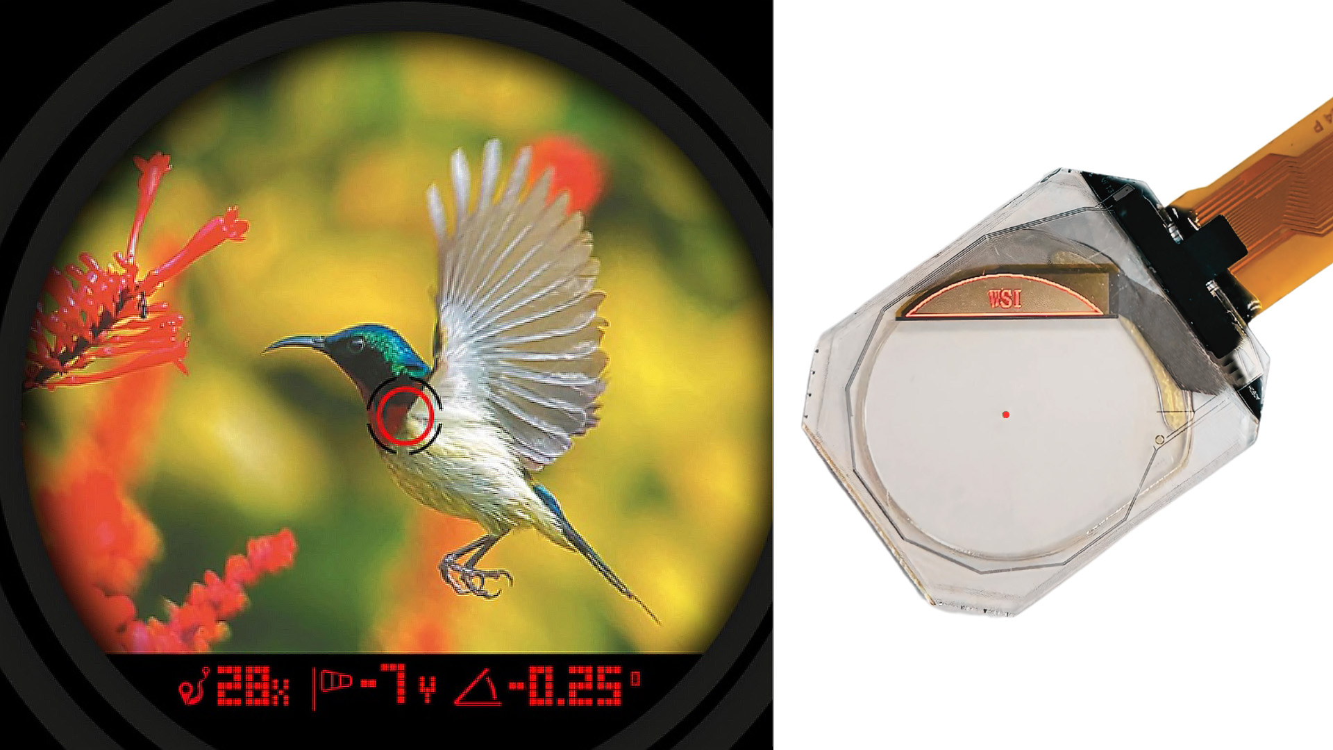 Flawless Triad-View Transparent OLED Module