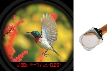 Flawless Triad-View Transparent OLED Module- WiseChip Semiconductor Inc. 